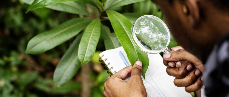 envitech-biologist-forest envitech-biologist-forest